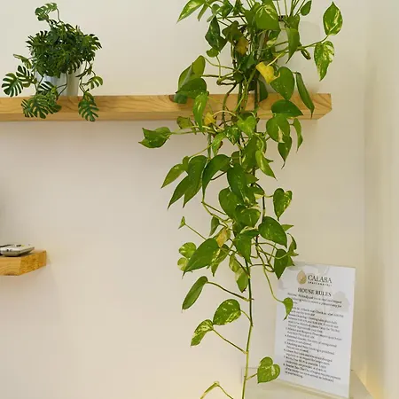 Calaba Spaccanapoli 住宿加早餐酒店 那不勒斯