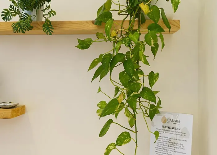 Calaba Spaccanapoli Отель типа 